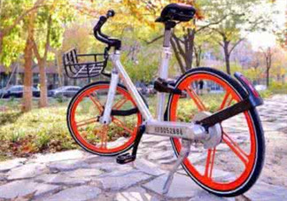 Ostelin和ddrops哪個(gè)好？Ostelin和ddrops的特點(diǎn)是什么？