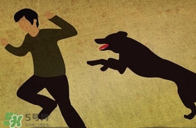 狂犬病疫苗什么時(shí)候打？狂犬病潛伏期最長(zhǎng)多久