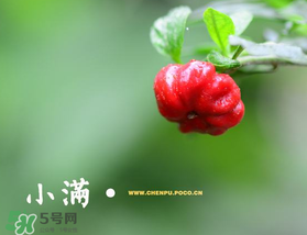 ?小滿可以回娘家嗎？?小滿能回娘家嗎？