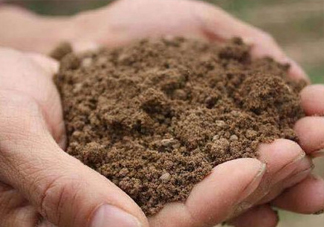 異食癖是什么??？異食癖怎么治