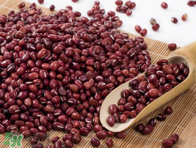 紅豆粽子孕婦可以吃嗎？孕婦可以吃紅豆粽子嗎？