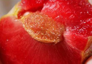 三華李可以和香蕉一起吃嗎？香蕉能和三華李一起吃嗎