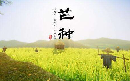 2017年芒種會下雨嗎？2017年芒種雨好嗎？