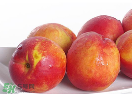 吃油桃會(huì)拉肚子嗎？拉肚子可以吃油桃嗎？