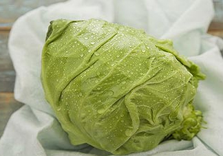 圓白菜是包菜嗎？圓白菜是大頭菜嗎？