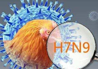 6月有禽流感嗎？2017年6月有禽流感嗎？