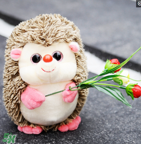 cafemimi玻尿酸鴨哪里有？cafemimi玻尿酸鴨怎么買(mǎi)？