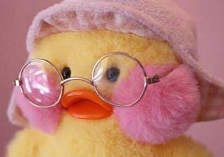 為什么叫玻尿酸鴨？cafemimi玻尿酸鴨名字的由來