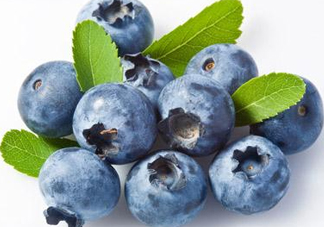 藍(lán)莓和蝦能一起吃嗎？吃藍(lán)莓后能吃蝦嗎？