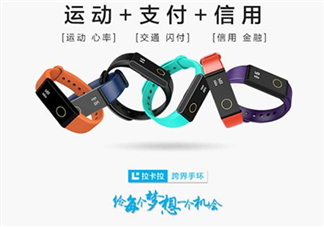 拉卡拉手環(huán)多少錢？拉卡拉手環(huán)價(jià)格