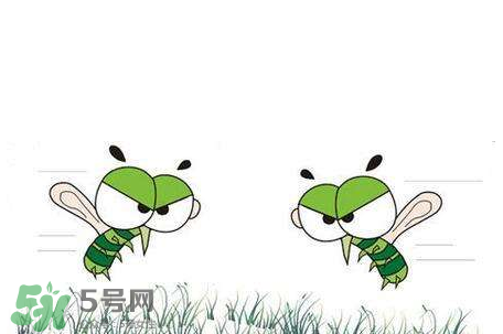 招蚊子是什么原因？招蚊子體質(zhì)怎么辦？