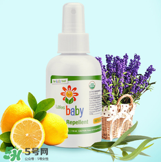 Lafe's驅(qū)蚊噴霧怎么樣？Lafe's有機防蚊液好用嗎？