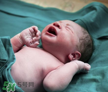 早產兒奶粉哪個牌子好？早產兒奶粉有哪些品牌？