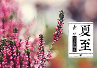 夏至是什么意思？夏至的習(xí)俗有哪些