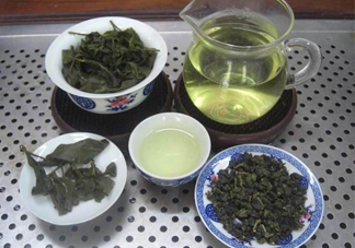 杜仲茶哪些人不適宜喝？杜仲茶飲用注意事項(xiàng)