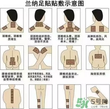 lanna蘭納足貼怎么貼?蘭納足貼使用方法 lanna蘭納足貼怎么貼?蘭納足貼使用方法