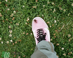 stussy與vans2017春夏系列聯(lián)名鞋子什么時(shí)候發(fā)售？