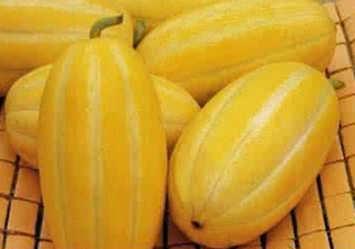 黃金瓜什么時候成熟？黃金瓜什么時候吃？