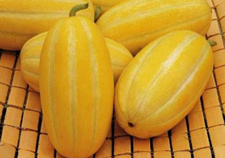 黃金瓜熱量高嗎？黃金瓜會胖嗎？