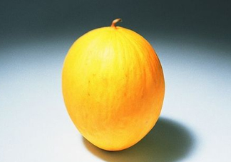 黃金瓜是熱性還是涼性？黃金瓜是涼性的嗎？