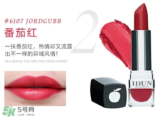 idun口紅色號(hào)_idun口紅試色圖大全 idun口紅色號(hào)_idun口紅試色圖大全