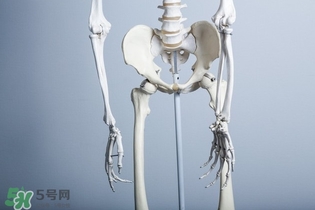 平衡球運(yùn)動(dòng)可以減肥嗎 最適合拿來(lái)當(dāng)作產(chǎn)后瘦身 平衡球運(yùn)動(dòng)可以減肥嗎 最適合拿來(lái)當(dāng)作產(chǎn)后瘦身