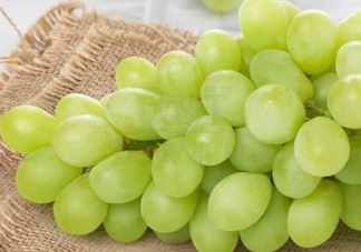 青提怎么保存？青提可以放冰箱嗎？