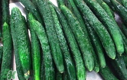 水果黃瓜怎么吃？水果黃瓜和普通黃瓜的區(qū)別