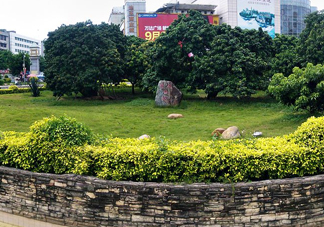 掛綠荔枝為什么這么出名？掛綠荔枝的由來和傳說