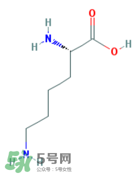 孩子吃什么可以長高 孩子吃什么能長高 孩子吃什么可以長高 孩子吃什么能長高