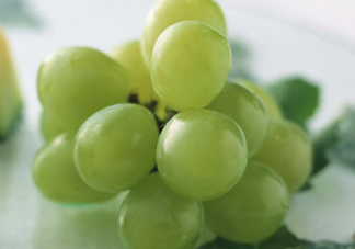 青提是轉(zhuǎn)基因嗎？青提怎么挑？