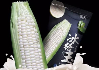 微玉冰糖玉米可以生吃嗎？微玉冰糖玉米安全嗎？