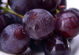 巨峰葡萄是哪里的？巨峰葡萄產(chǎn)地