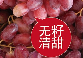 ?無籽紅提?孕婦能吃嗎吃嗎？孕婦能不能吃無籽紅提？