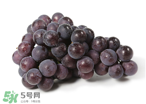 巨峰和夏黑哪個(gè)好吃？哪個(gè)貴？有什么區(qū)別？