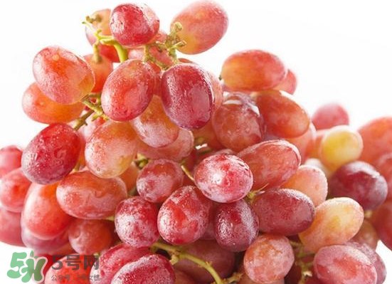 ?無籽紅提?孕婦能吃嗎吃嗎？孕婦能不能吃無籽紅提？