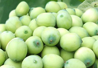 新鮮蓮蓬可以去胎毒嗎？蓮蓬煮水可以去胎毒嗎？