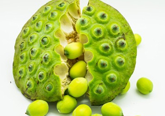 新鮮蓮子有什么功效？新鮮蓮子一次吃多少？