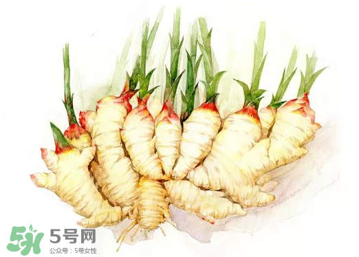 7月份可以種生姜嗎？生姜幾月份種植？