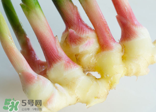 7月份可以種生姜嗎？生姜幾月份種植？