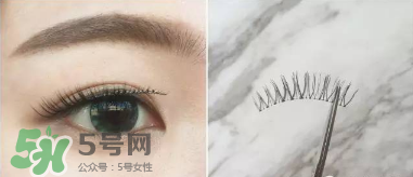 假睫毛怎么貼?假睫毛的貼法 假睫毛怎么貼?假睫毛的貼法