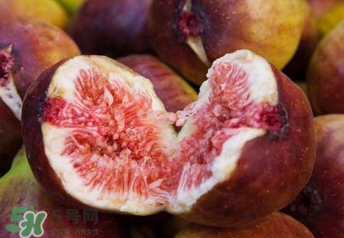 無花果能治痔瘡嗎？無花果怎樣吃治痔瘡？