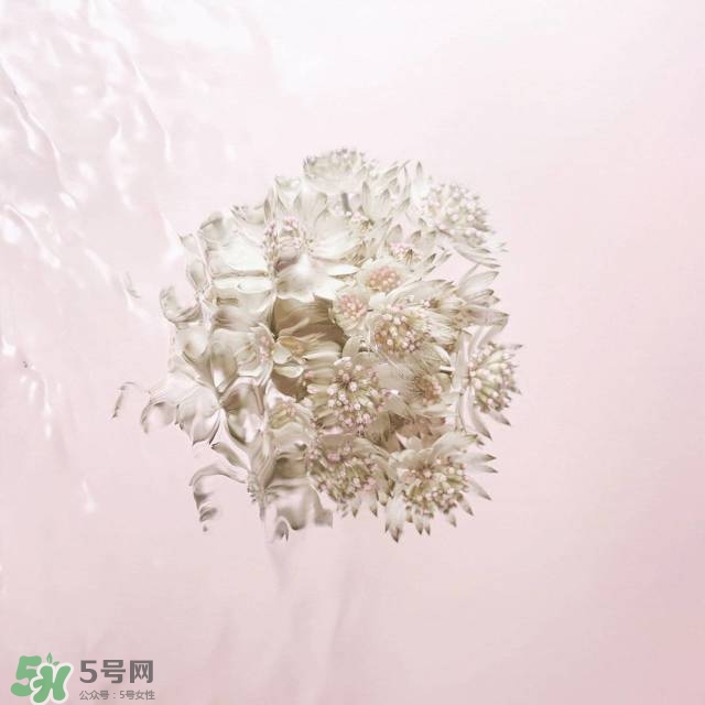 雅詩(shī)蘭黛2017春夏新品有哪些_什么時(shí)候上市 雅詩(shī)蘭黛2017春夏新品有哪些_什么時(shí)候上市