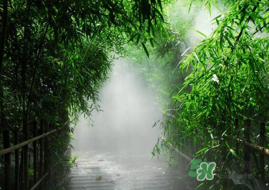 2017大暑會(huì)不會(huì)下雨？2017大暑下雨好嗎？