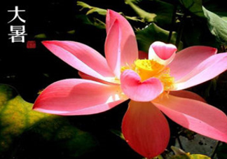 2017中伏最熱嗎？ 2017初伏中伏末伏哪個(gè)最熱？