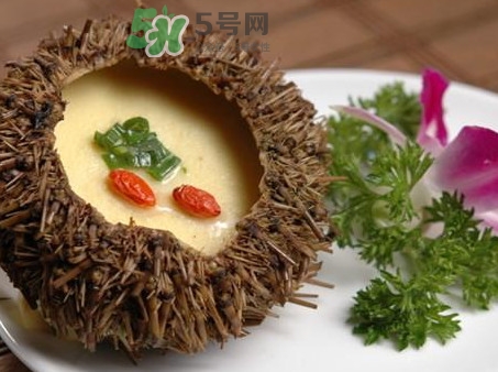 海膽死了還能吃嗎？海膽不能跟什么一起吃