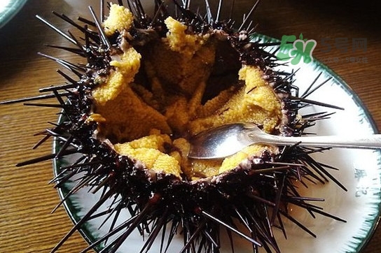 海膽黃一次吃多少克合適？海膽里面黑色的能吃嗎