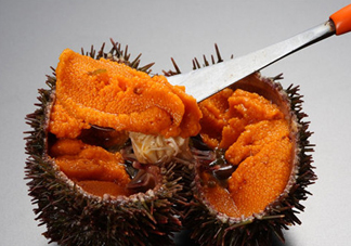 冷凍海膽黃化了能吃嗎？海膽吃多了會(huì)怎樣