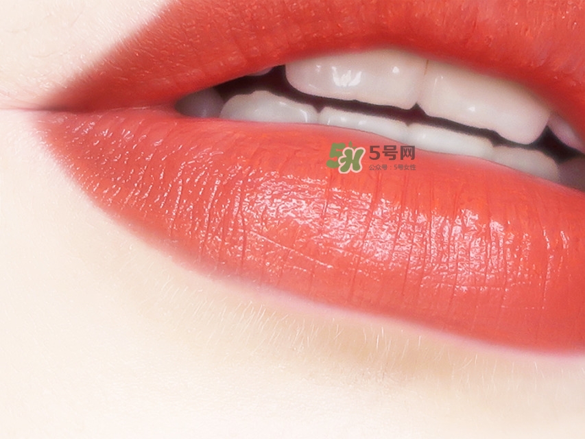 草木之心口袋口紅色號_草木之心口紅套裝試色圖 草木之心口袋口紅色號_草木之心口紅套裝試色圖