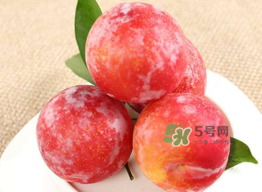 紅布林孕婦可以吃嗎？孕婦可以吃紅布林嗎？